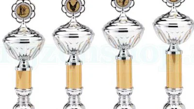 Consumenten vinden Bol beste webwinkel van Nederland