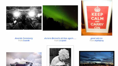 Europeanen massaal naar foto- en huizensites