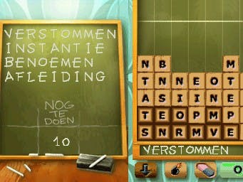 Nederlandse professor werkt mee aan DS-spelletje