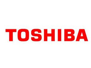 Toshiba 64 GB flash geheugenchip