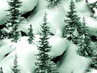 November: stemmen, Sinterklaas en sneeuw