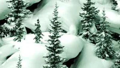 November: stemmen, Sinterklaas en sneeuw