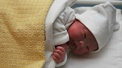 Domeinnaam prinses Ariane direct geregistreerd