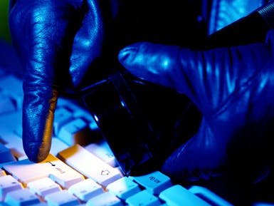 Veilingfraude grootste vorm van cybercriminaliteit