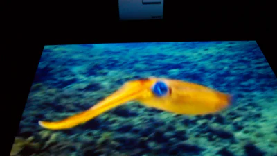 CeBIT: Beamer tovert keukentafel om tot videoscherm