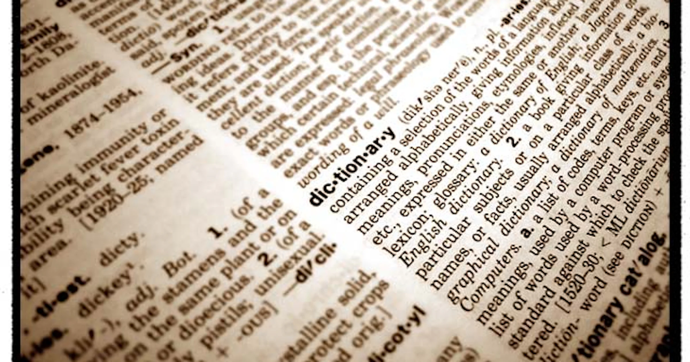Grootste woordenboek ter wereld online