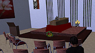 Dood maakt opwachting in Second Life