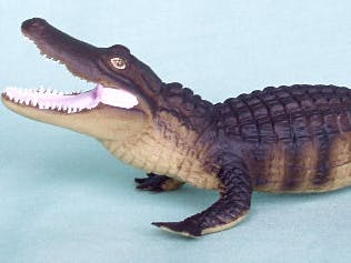 Gator meest voorkomende spyware in 2006