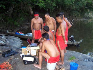 Google Earth helpt het regenwoud te beschermen