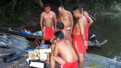 Google Earth helpt het regenwoud te beschermen