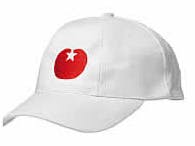 Marijnissen verreweg de populairste