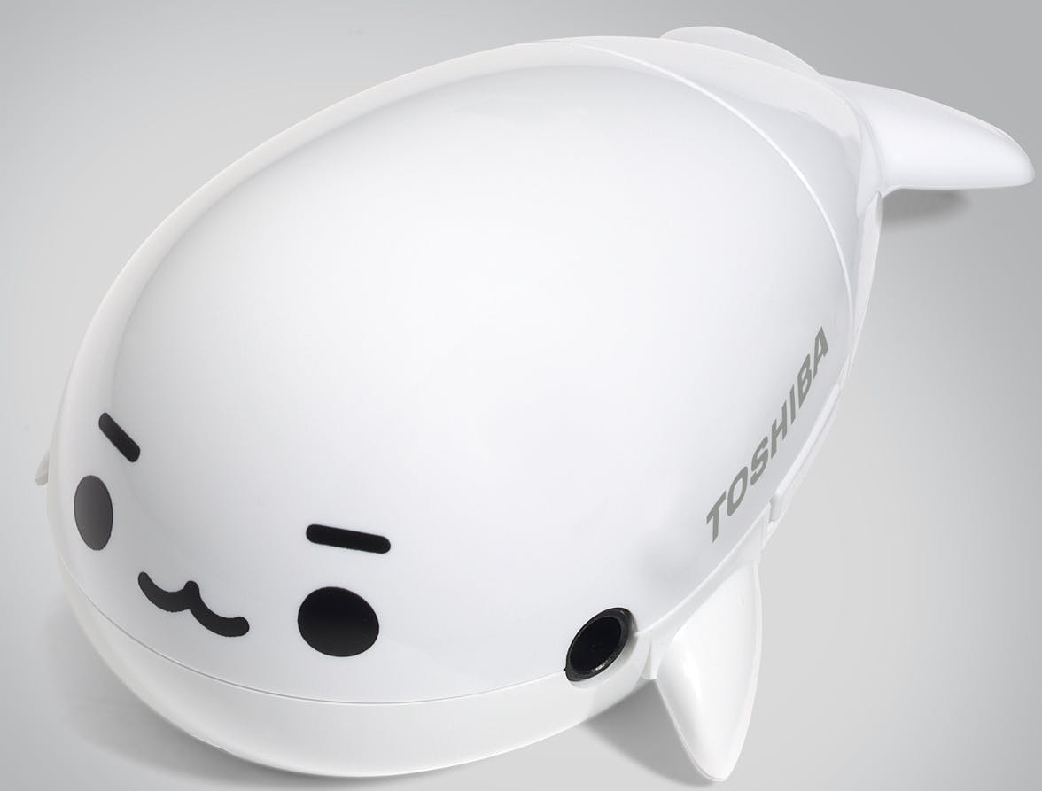 Ook Nederland in ban van walvis-jacht