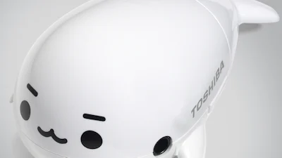 Ook Nederland in ban van walvis-jacht