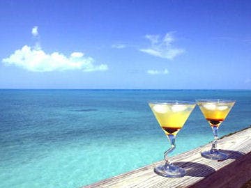 Online reisbureaus doen het goed