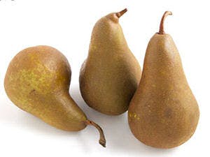 Opnieuw 19 illegale p2p-sites offline