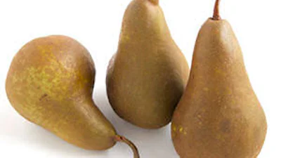 Opnieuw 19 illegale p2p-sites offline