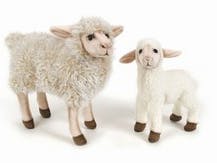 Spamta.CY: worm in schaapskleren