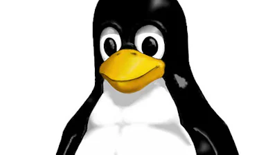 Mac in 2 minuten gehackt, Vista derde dag, Linux niet