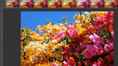 Adobe Photoshop als gratis online fotodienst