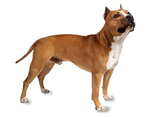 De meest bizarre data-ongelukken