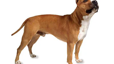 De meest bizarre data-ongelukken