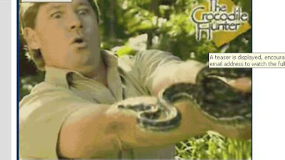 Spammer zet tanden in Crocodile Hunter video