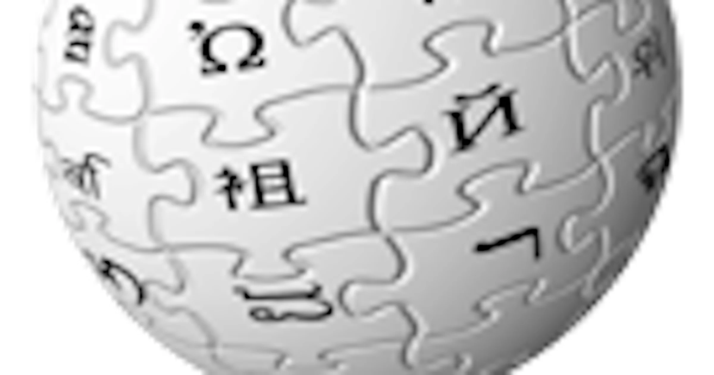 Nederlander 'ken' niet zonder de Wikipedia