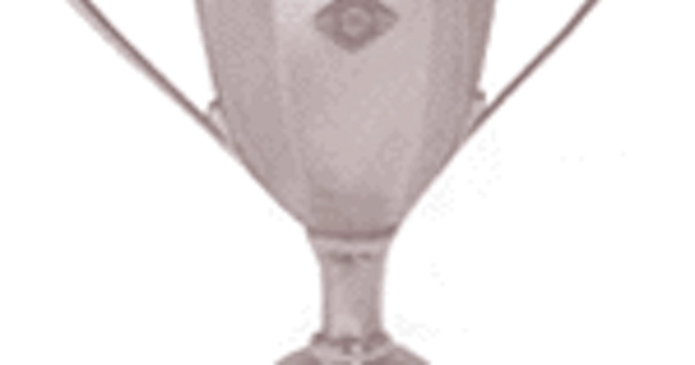 Twee-miljoenste .nl-domein komt eraan