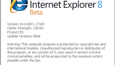 Internet Explorer 8 komt zeker dit jaar nog