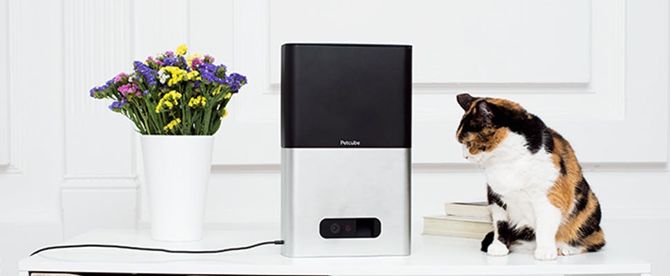 Petcube Bites en Play: interactieve huisdiercamera's