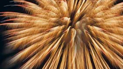Wat brengt het jaar 2008?