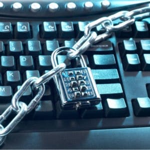 Taakstraffen voor internet fraude