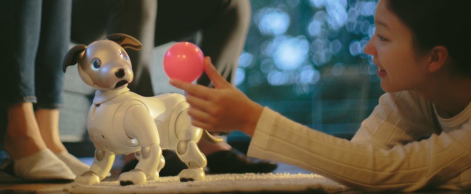 Robothondje Aibo terug van weggeweest