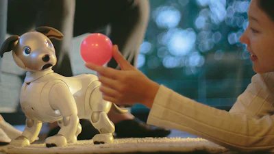 Robothondje Aibo terug van weggeweest