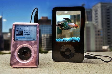 Dierenliefhebbers boos over iPod- aquarium