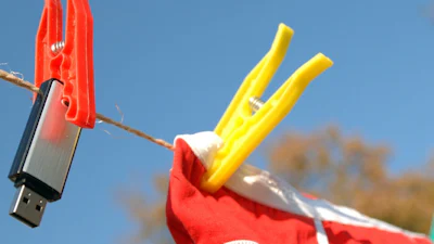 Mieren, wasmachines en appelmoes bedreigen data