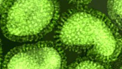 Virusbesmetting bereikt historisch laagtepunt