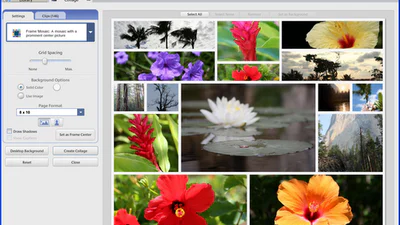 Picasa kan gezichten vrienden en familie herkennen