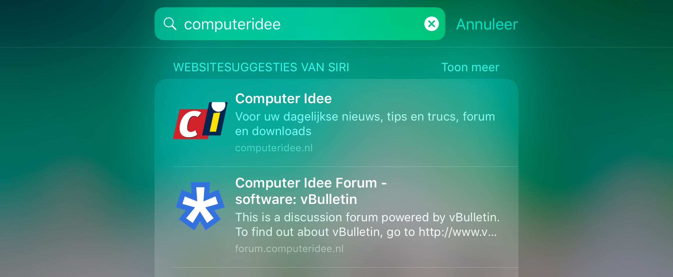 Apple stapt over van Bing naar Google