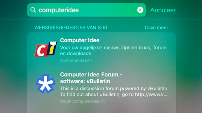 Apple stapt over van Bing naar Google