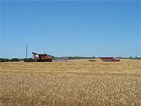 'Plattelandbewoners twitteren het meest'