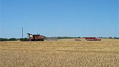 'Plattelandbewoners twitteren het meest'