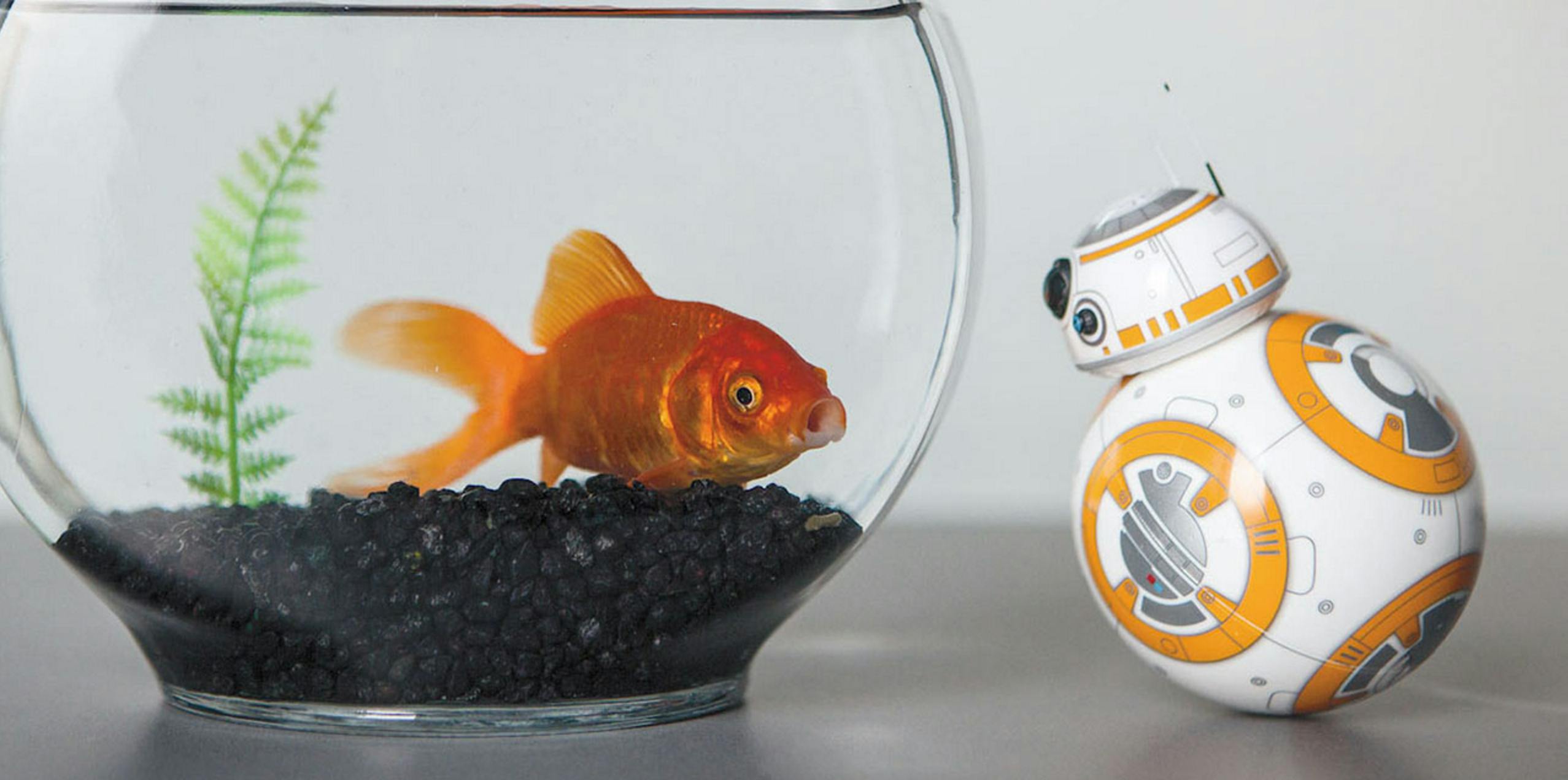 Kijk met BB-8 naar de nieuwste Star Wars-film