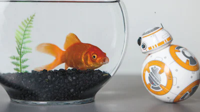 Kijk met BB-8 naar de nieuwste Star Wars-film