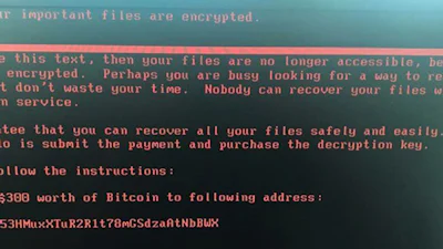 'Nederland in top 5 slachtoffers Petya-aanval'
