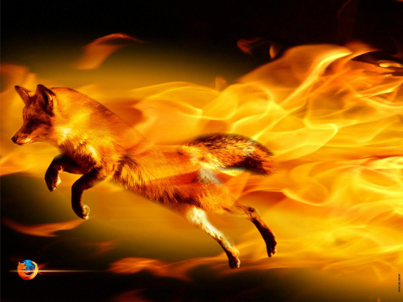 Firefox 13 te downloaden
