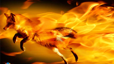 Firefox 13 te downloaden