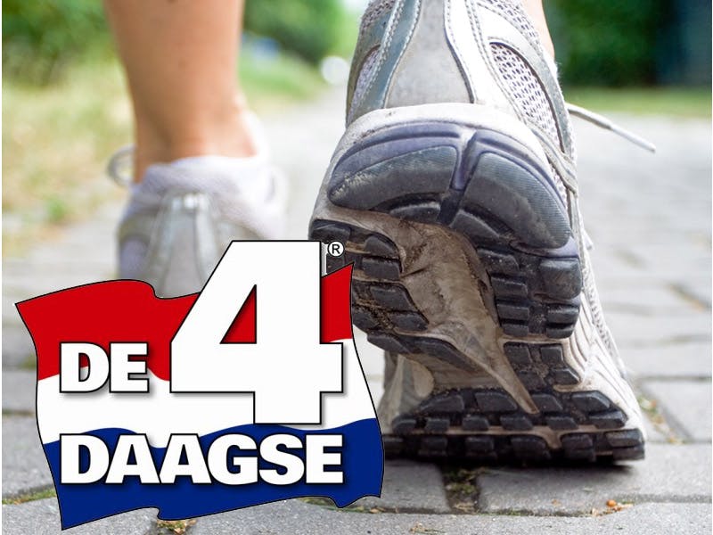 Vierdaagse 2013 live online volgen