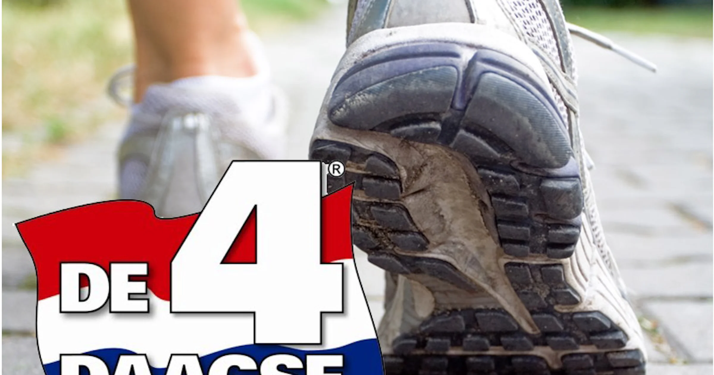 Vierdaagse 2013 live online volgen