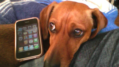 Bellen met je huisdier